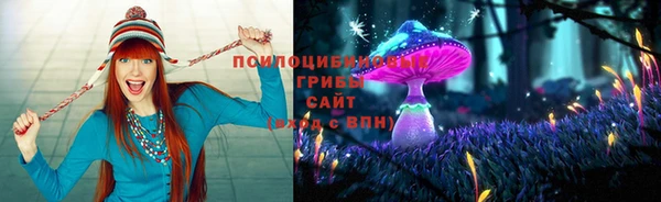 молекула духа Аркадак