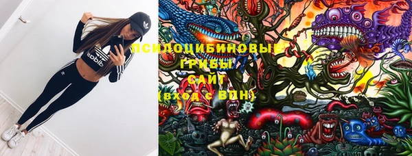 альфа пвп Арсеньев