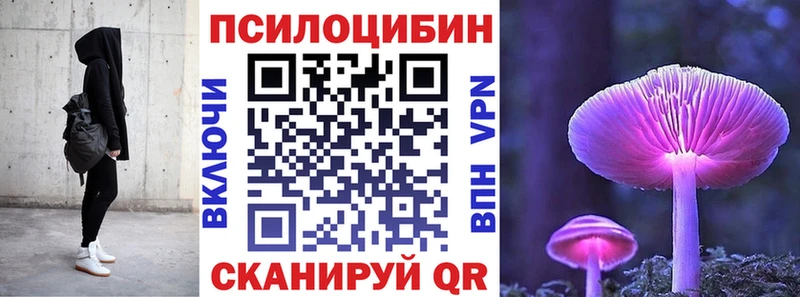 Купить где Вольск Псилоцибиновые грибы MAGIC MUSHROOMS